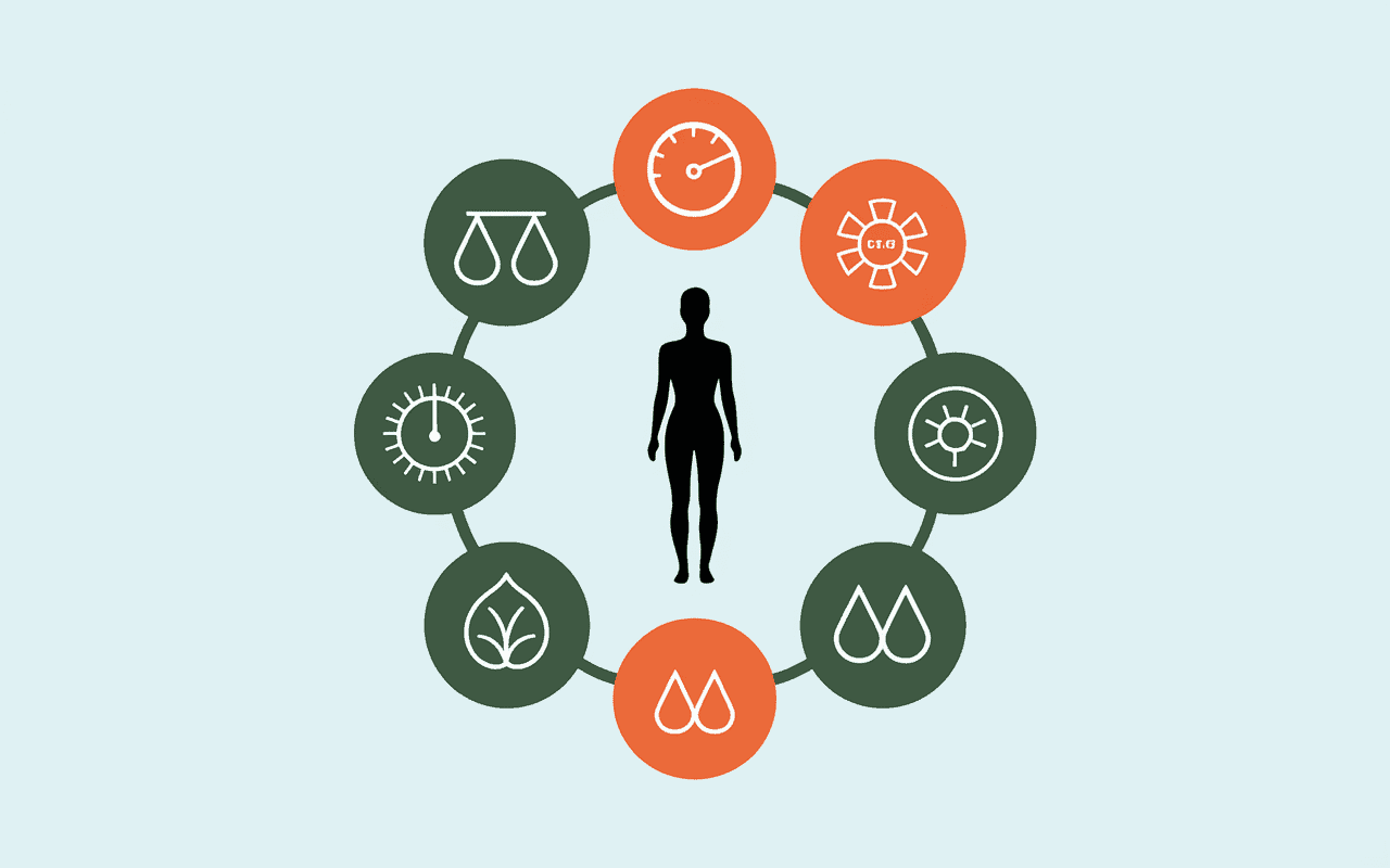infographie bienfaits silhouette humaine morosil et vinaigre de cidre