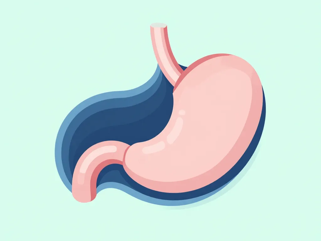 peut on sentir une hernie hiatale au toucher coupe anatomique