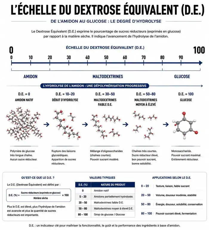 Infographie expliquant le Dextrose Équivalent (D.E.) et la fabrication de la maltodextrine par hydrolyse de l'amidon.