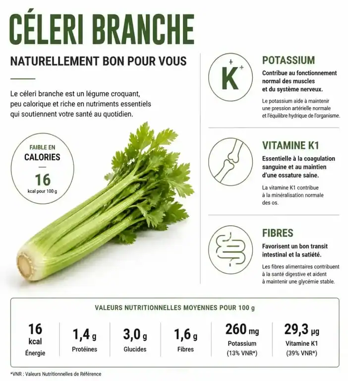 Infographie des bienfaits nutritionnels et apports santé du céleri branche
