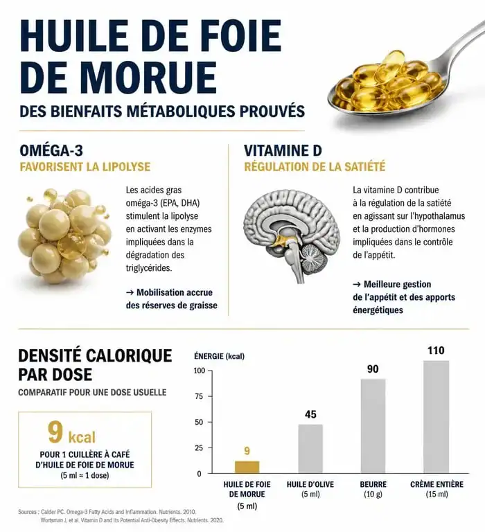 Infographie sur les bienfaits métaboliques et l'apport calorique de l'huile de foie de morue pour la gestion du poids